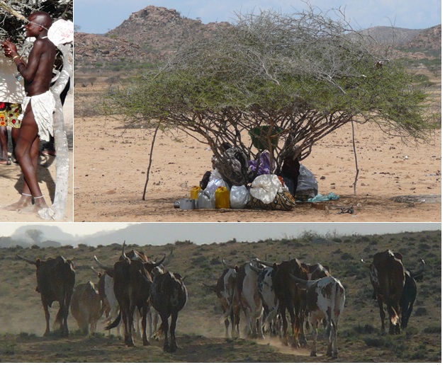 Atividades de pastoreio no deserto de Namibe (Fotos: Ilka B. Leite)